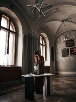 Aarke hiilihapotuslaite Carbonator III, polished steel