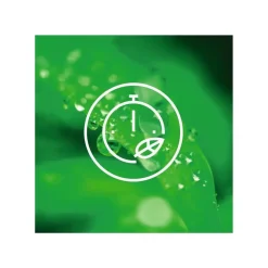 Aeg pesukone LTR6O622K1 6 kg valkoinen