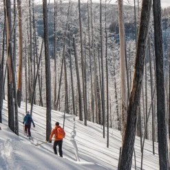 Altai liukulumikenkä Hok 145 cm + Pivot siteet