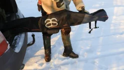 Altai liukulumikenkäkassi