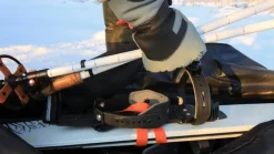 Altai liukulumikenkäkassi