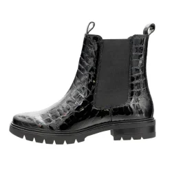 Ara nilkkurit 01 Cambridge