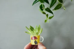 Arabia Muumi minimukisetti 6 kpl klassikot