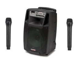 AudioDesignPRO kannettava akkukäyttöinen 12" aktiivikaiutin & 2 mikrofonia