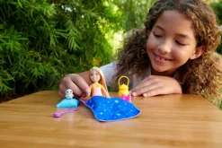 Barbie Camping Chelsea Hdf77
