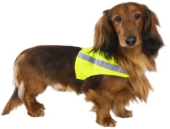 Best Friend Gear BF Gear huomioliivi S