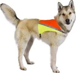 Best Friend Gear BF Gear huomioliivi L