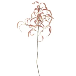 Bloomingville koristeoksa Eucalyptus punainen