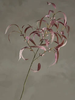 Bloomingville koristeoksa Eucalyptus punainen