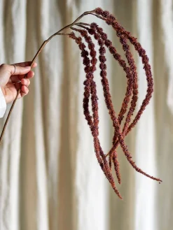 Bloomingville koristeoksa Foxtail punaruskea