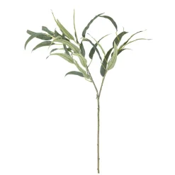 Bloomingville koristeoksa Eucalyptus vihreä