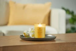 Chesapeake Bay tuoksukynttilä Strength & Energy M