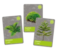 Clementoni tiedesetti History Of Life On Earth