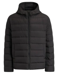 Create untuvatakki Palmer