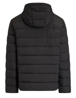 Create untuvatakki Palmer