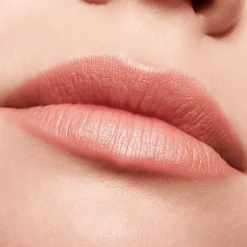 Essence huultenrajauskynä Soft & Precise Lip Pencil 302