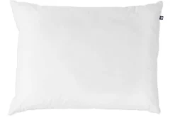 Familon Grande tyyny 60x80 cm