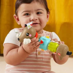 Fisher-Price Click & Spin Activity Pup