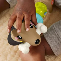 Fisher-Price Click & Spin Activity Pup