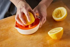 Fiskars Functional Form Sitruspuristin