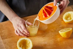 Fiskars Functional Form Sitruspuristin