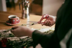 Fiskars sakset FXI Taika 21 cm punainen