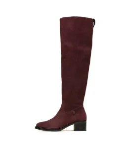 Gaimo ylipolvensaappaat Adelais Amarone