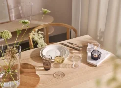 Iittala Aino Aalto Juomalasi 22 cl pellava 2 kpl