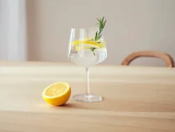 Iittala Essence coctaillasi 63 cl 2 kpl