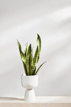 Iittala Nappula Ruukku 230x155 mm valkea