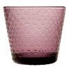 Iittala Tundra juomalasi 29 cl kanerva