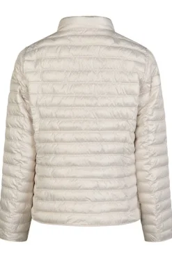 Lebek takki 70700052