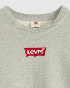 Levi's college Relaxed Graphic Crew