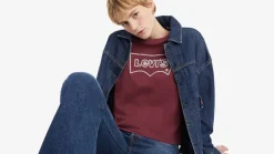 Levi's t-paita Graphic Boxy