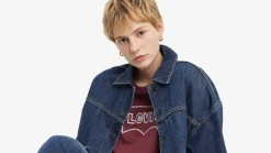 Levi's t-paita Graphic Boxy