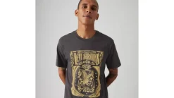 Levi's t-paita Graphic Crewneck Tee