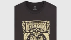 Levi's t-paita Graphic Crewneck Tee