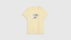 Levi's T-paita Perfect tee