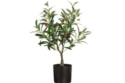 4Living oliivipuu ruukussa 60 cm