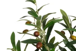 4Living oliivipuu ruukussa 60 cm