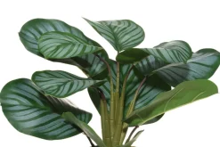 4Living silkkimaija muoviruukussa