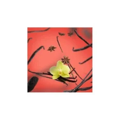 Maison Berger huonetuoksu Vanilla Gourmet 100 ml