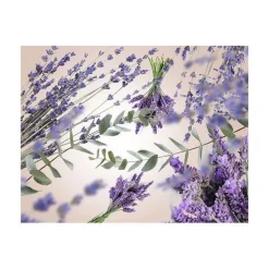 Maison Berger huonetuoksu Lavender Fields 100 ml