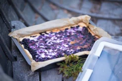 Maku Bake&Carry piirakkavuoka + kansi 3,45 L 42x30x4,5 cm mu