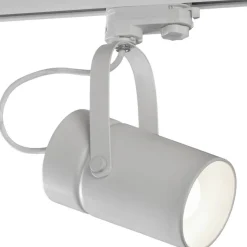 Mantra kiskovalaisin Aruba valkoinen