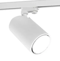 Mantra kiskovalaisin Sal valkoinen