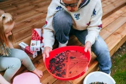 Marjukka Marjanpuhdistaja kaatoreunoilla