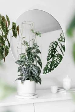 Mirrors and More peili Mila Ø50 cm valkoinen