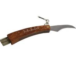 Muurikka sieniveitsi