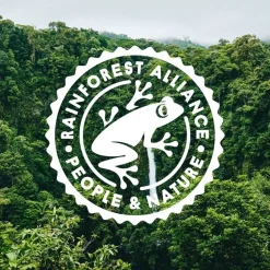 Nordqvist lehtitee Sulosydän